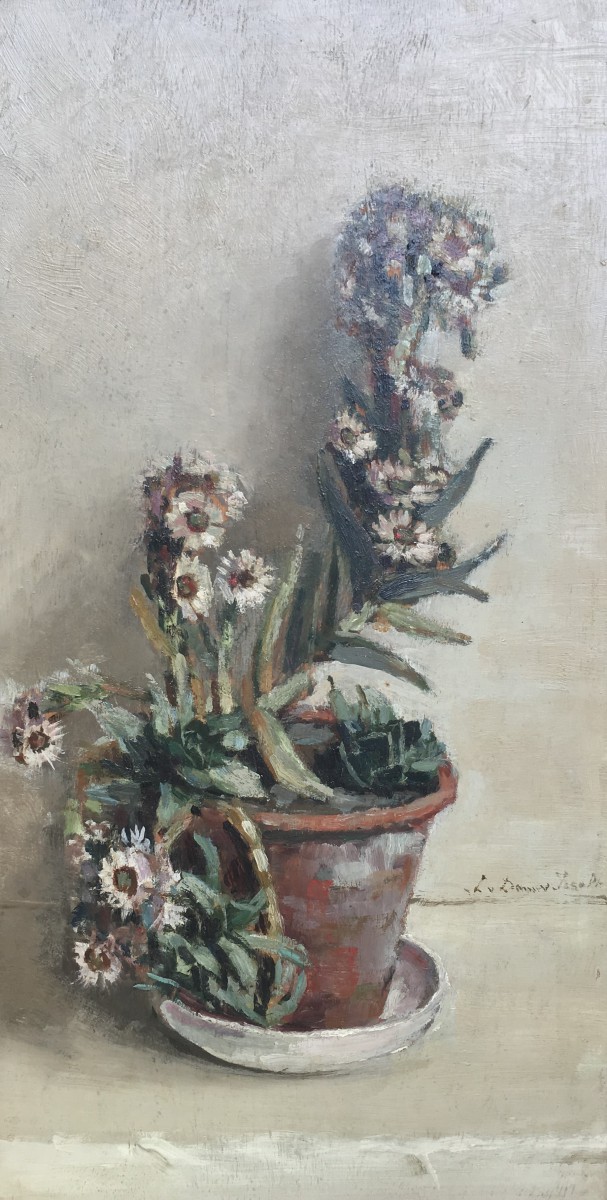 Vetplant in bloei (ca. 1930-1935) door Lucie van Dam van Isselt