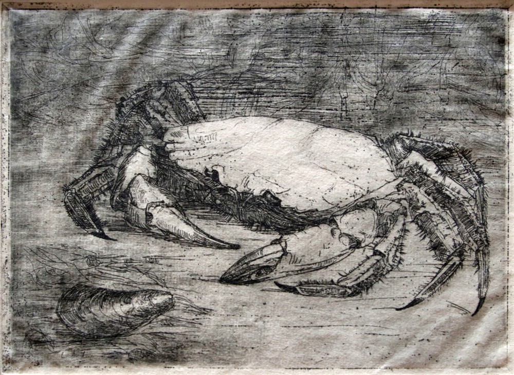 Krab (1908) door Lucie van Dam van Isselt