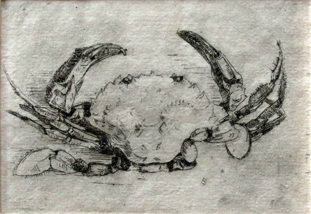 Krab (1909) door Lucie van Dam van Isselt