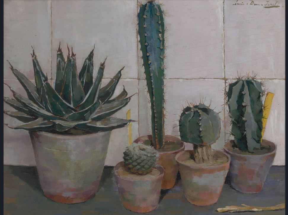 Stilleven met cactussen door Lucie van Dam van Isselt