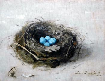 Vogelnestje door Lucie van Dam van Isselt
