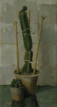 Twee cactussen (1934-1924) door Lucie van Dam van Isselt