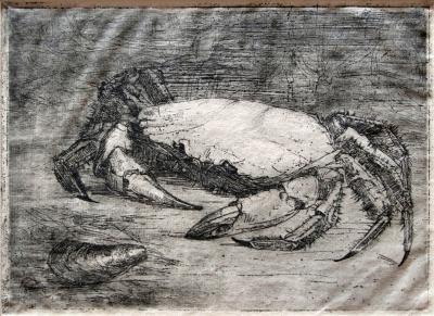 Krab (1908) door Lucie van Dam van Isselt