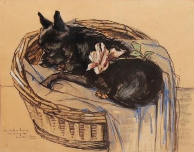 Het Schipperke (1927) door Lucie van Dam van Isselt