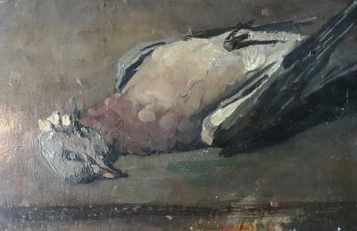 Dode duif door Albert Plasschaert