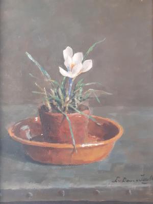 Krokusje in z'n geheel_Lucie van Dam van Isselt