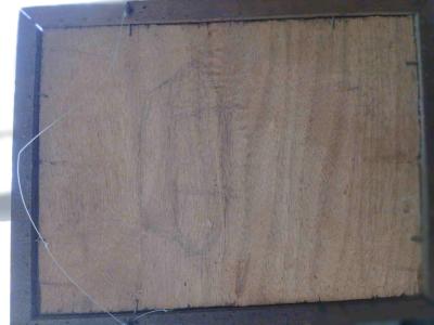 Achterzijde Krokusje door Lucie van Dam van Isselt