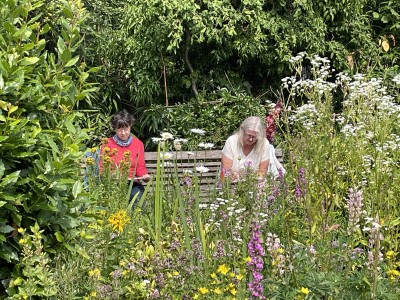 Zomerworkshop